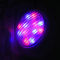 ガラス球RGBWの多彩な72W水泳のプール ライト