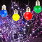 クリスマスの休日のSKD多彩で全体的な1W屋内LEDの球根
